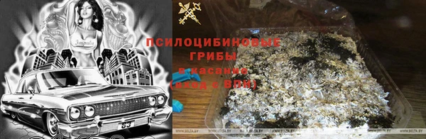 мдпв Балабаново