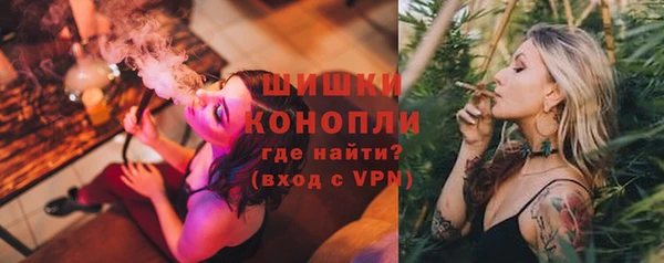 apvp Белокуриха