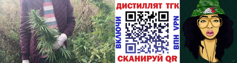 цены   Новый Уренгой  KRAKEN ТОР  ТГК жижа 