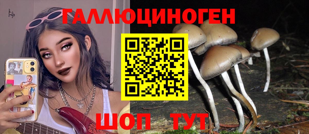 Галлюциногенные грибы Psilocybine cubensis  Вход с VPN  Новый Уренгой 