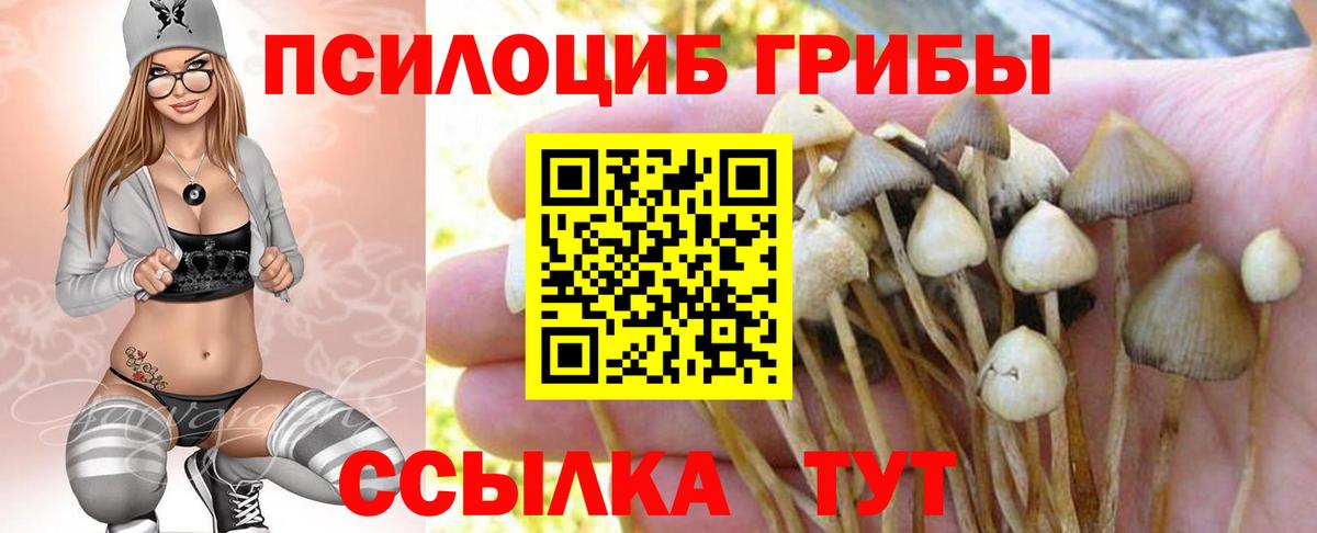 Псилоцибиновые грибы Cubensis Новый Уренгой